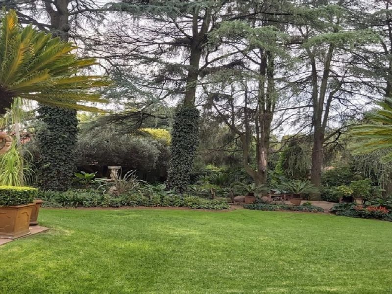 Stunning 3-bedroom home in the beautiful Sw 5 proper area - Photo 7