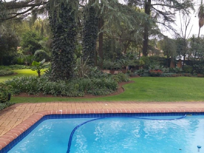 Stunning 3-bedroom home in the beautiful Sw 5 proper area - Photo 6