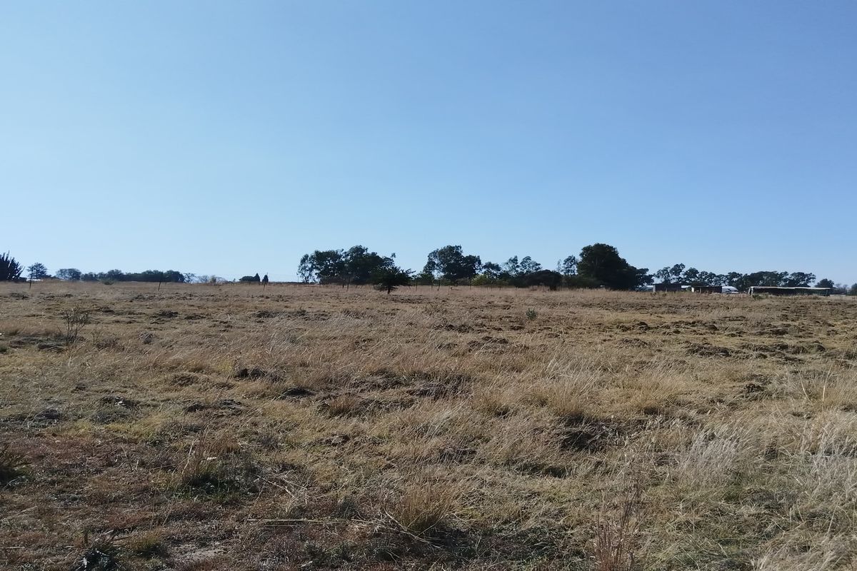 Vacant Land Residential For Sale In Meyerton - Photo 3