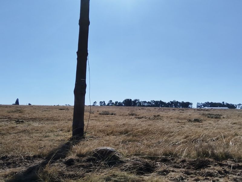 Vacant Land Residential For Sale In Meyerton - Photo 1