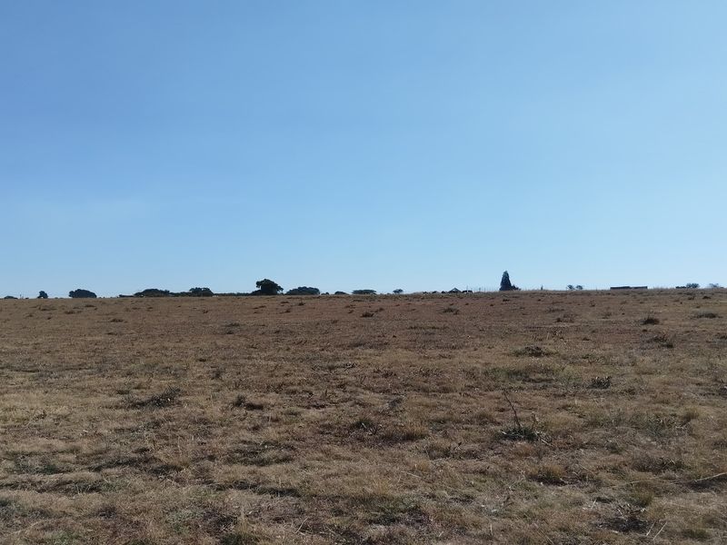 Vacant Land Residential For Sale In Meyerton - Photo 2
