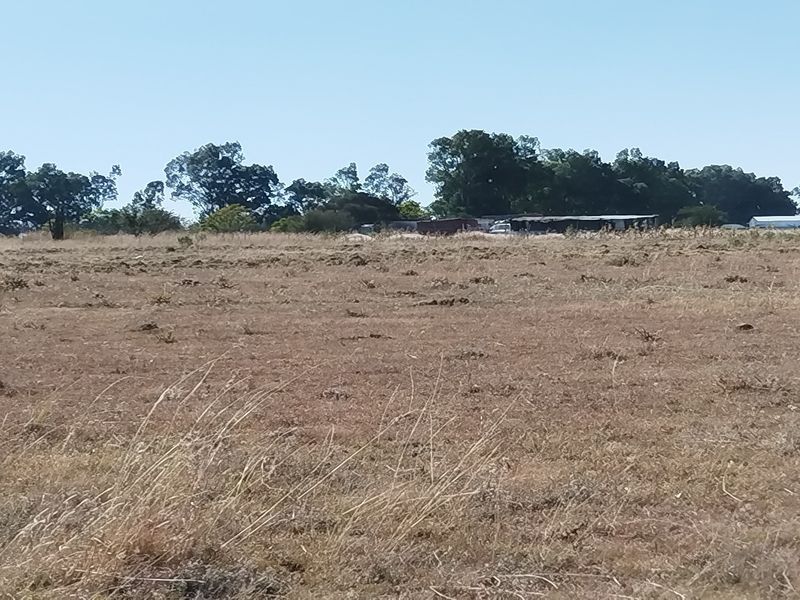 Vacant Land Residential For Sale In Meyerton - Photo 7