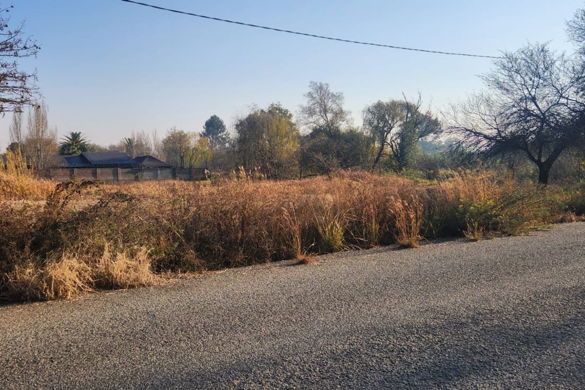 Vacant Land Residential For Sale In Parys - Photo 3