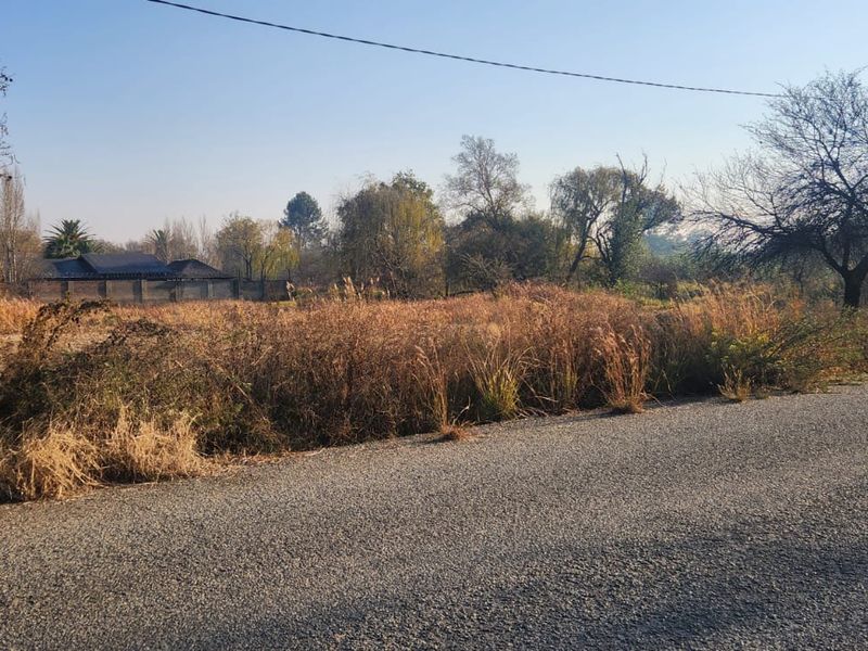 Vacant Land Residential For Sale In Parys - Photo 3