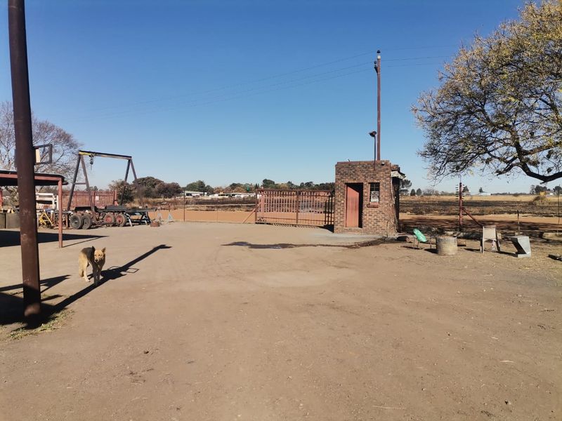 Great Business Opportunity alongside the Barrage road - Photo 2