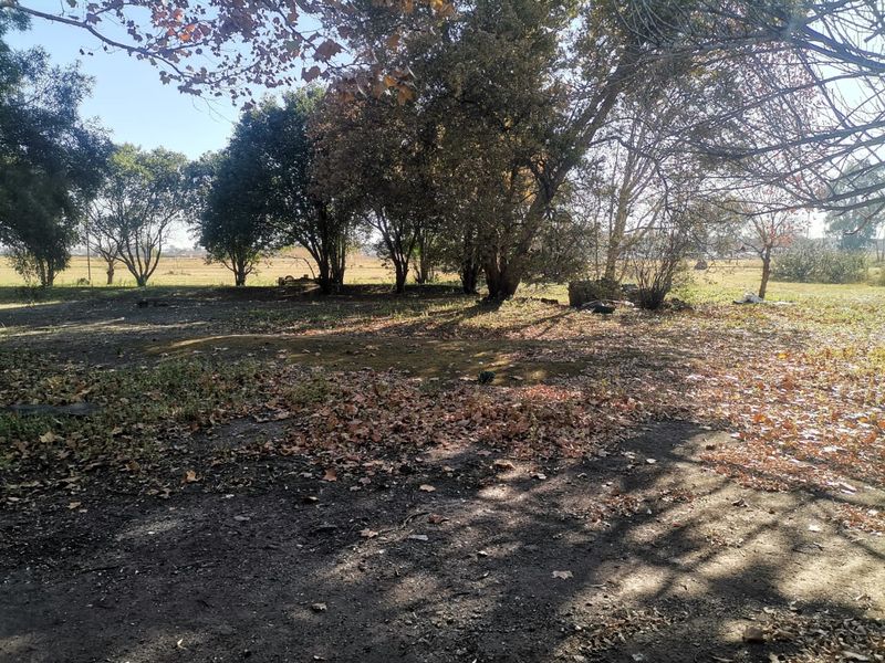 Great Business Opportunity alongside the Barrage road - Photo 4