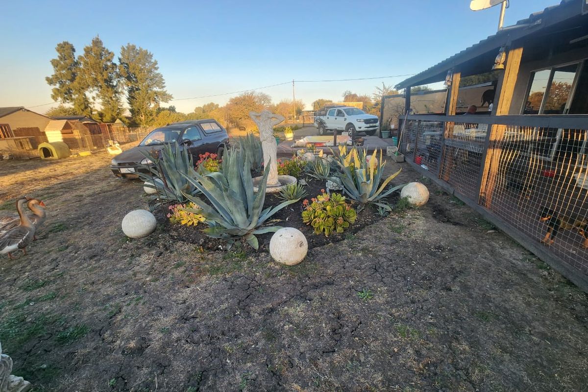 stand for Sale in Orangeville Vaal dam - Photo 2