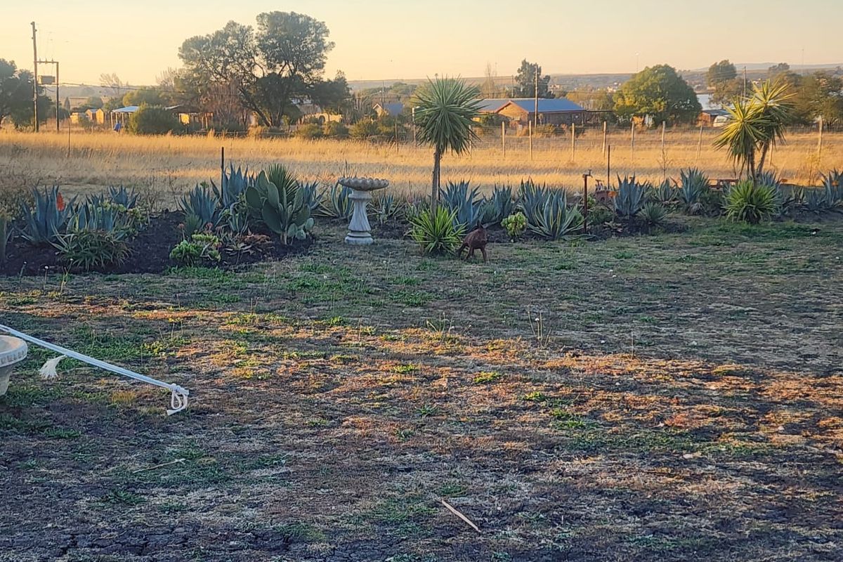 stand for Sale in Orangeville Vaal dam - Photo 5