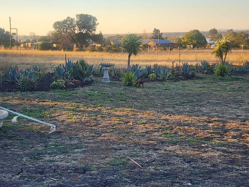 stand for Sale in Orangeville Vaal dam - Photo 5