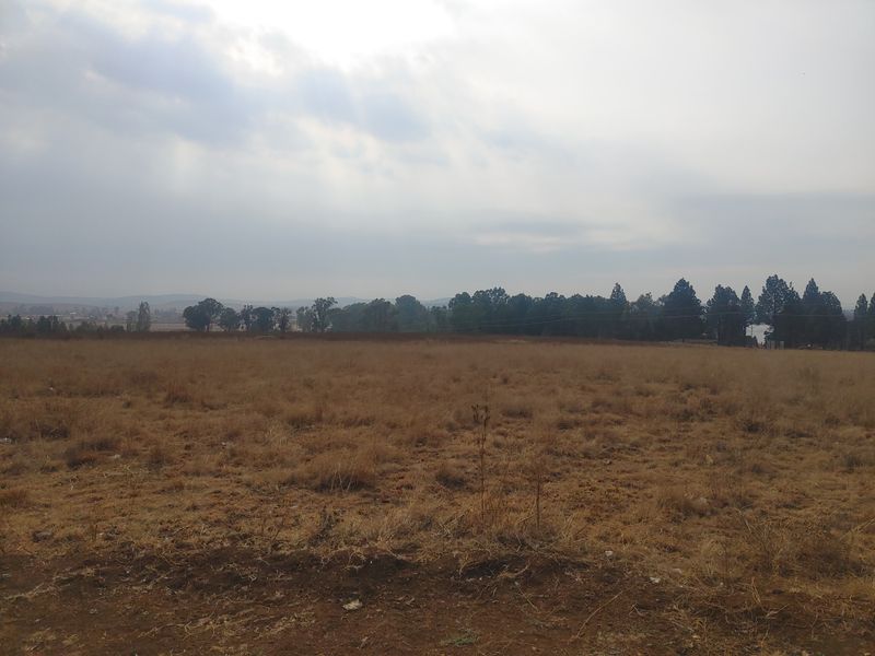 2.1Ha smallholding vacant land next to the main road - Photo 2