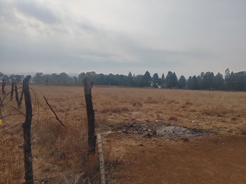 2.1Ha smallholding vacant land next to the main road - Photo 8