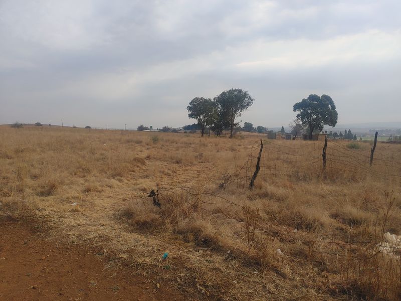 2.1Ha smallholding vacant land next to the main road - Photo 7