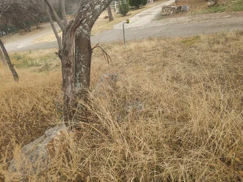 Prime Vacant Land for Sale in Vaaloewer – 697m2 - Photo 2