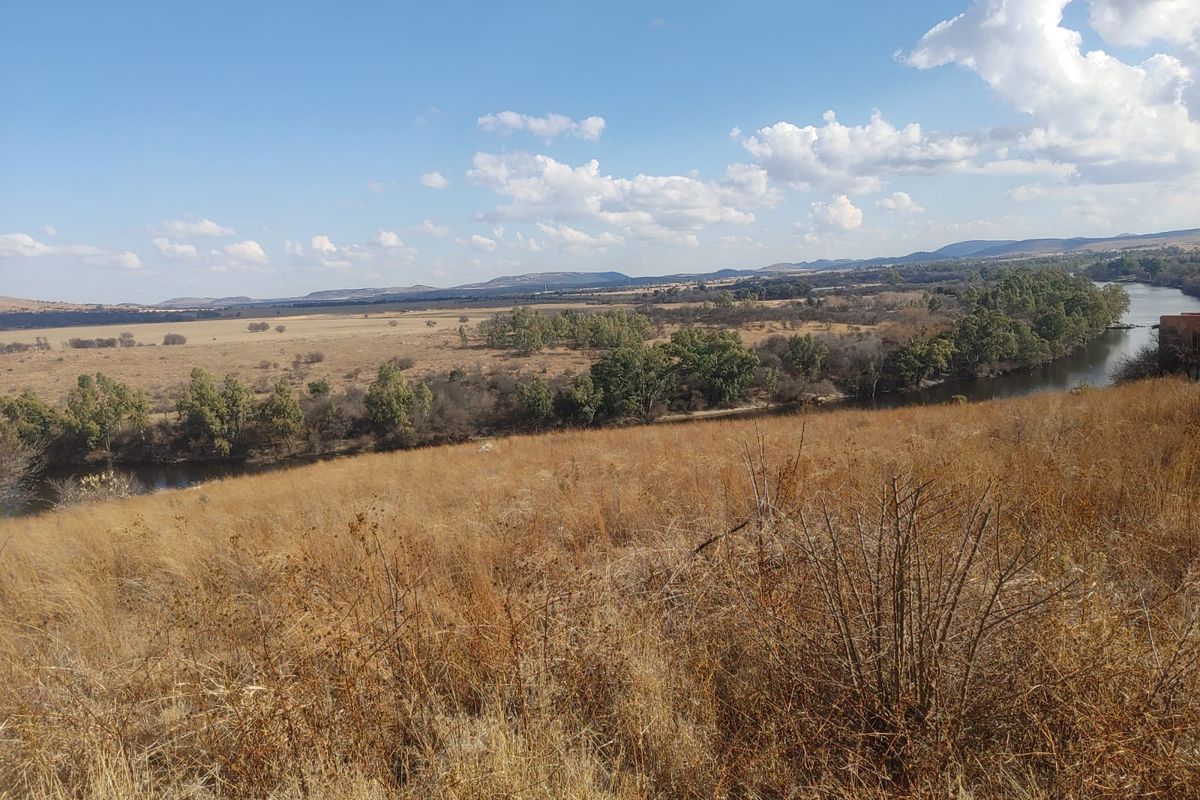 Rare Opportunity: Double Stand Consolidated into One – Vaaloewer - Photo 5