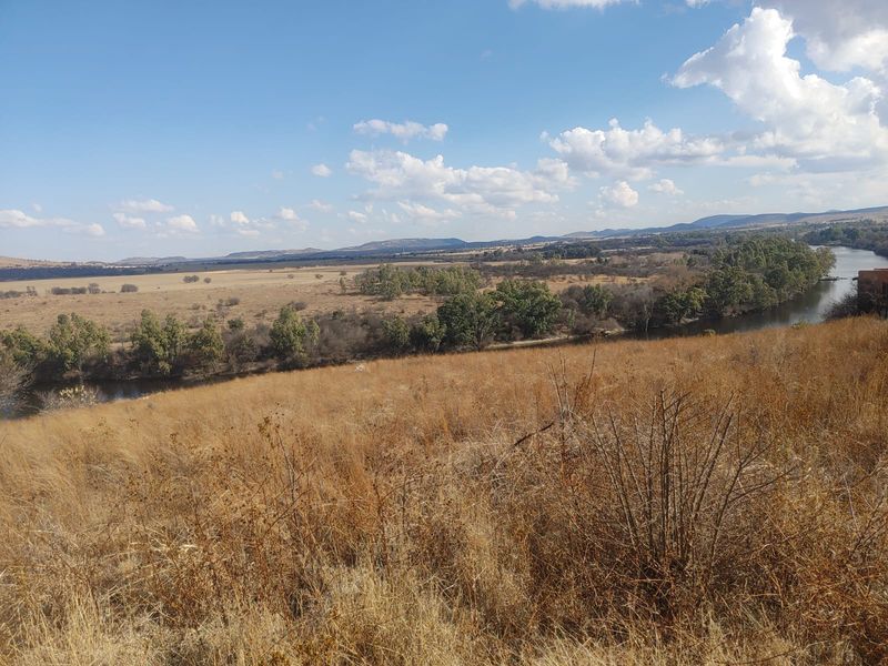 Rare Opportunity: Double Stand Consolidated into One – Vaaloewer - Photo 5