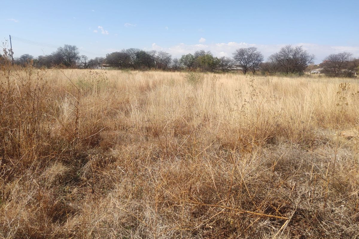 Prime 1006m2 Vacant Land for Sale in Vaaloewer - Photo 4