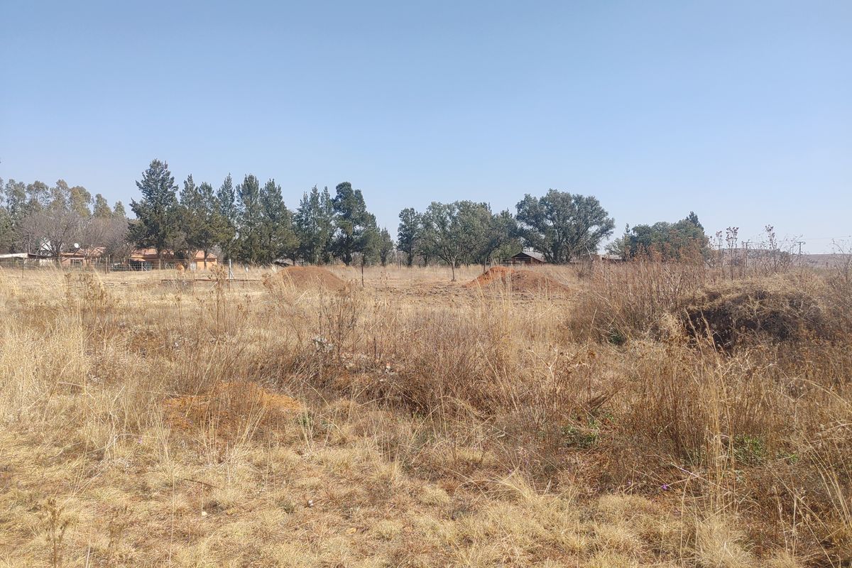 Smallholding for Sale in Lindequesdrift – Fully Off-Grid with Excellent Water Supply - Photo 5