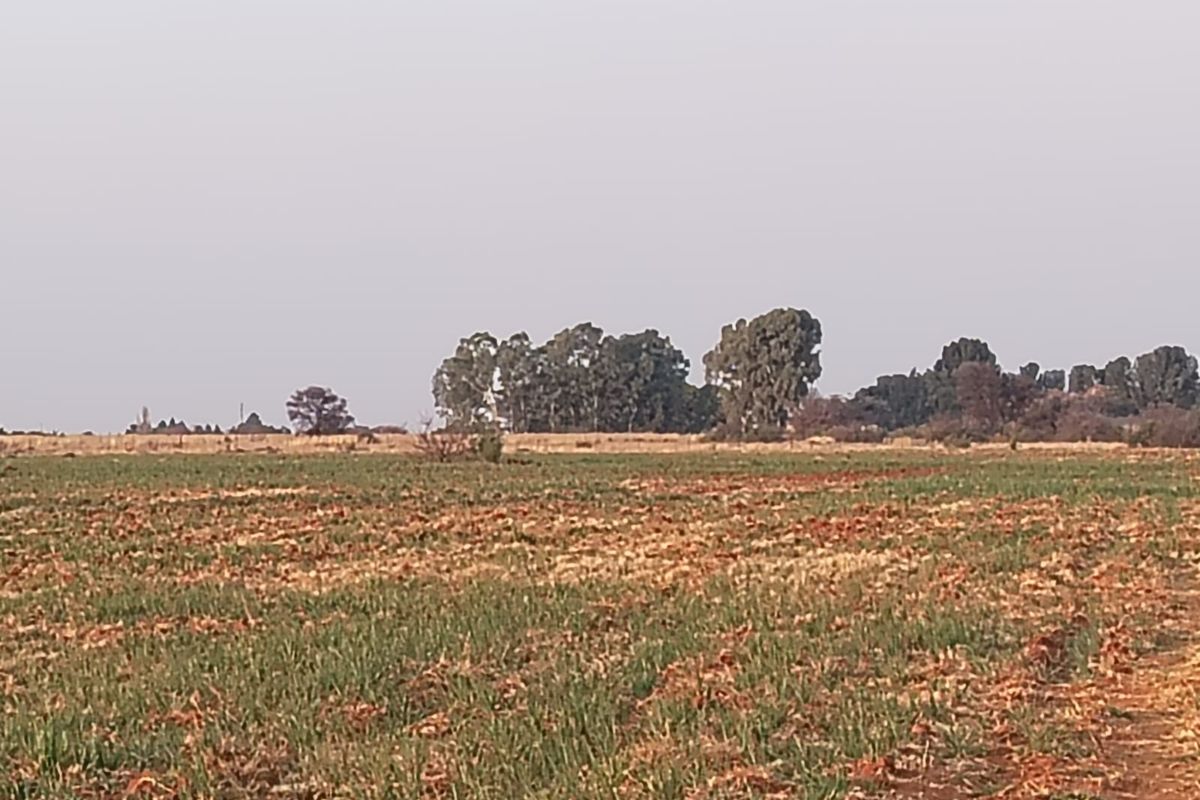Exceptional 8.5-Hectare Mixed-Use Property – Prime Location Close to Town - Photo 5