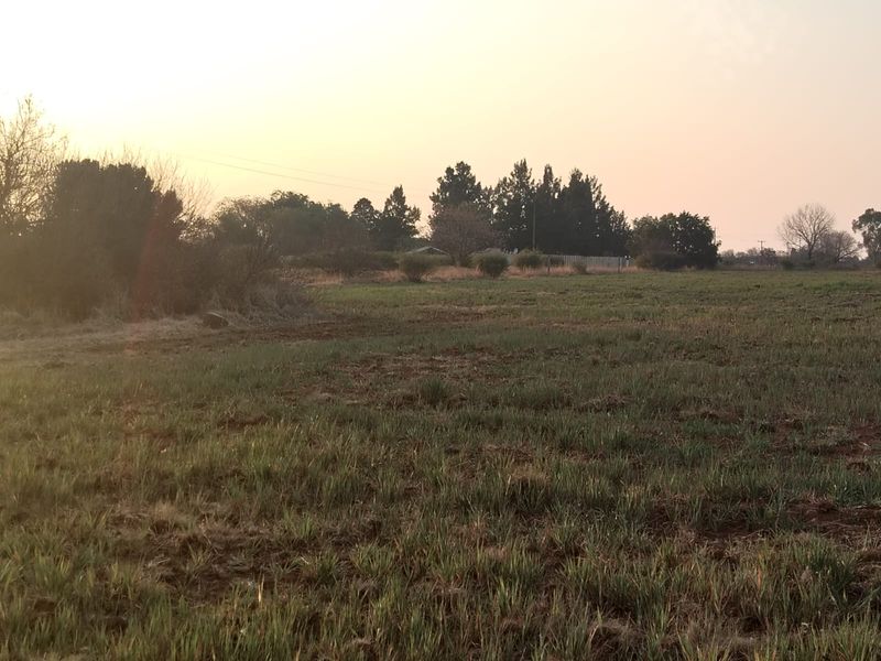 Exceptional 8.5-Hectare Mixed-Use Property – Prime Location Close to Town - Photo 6