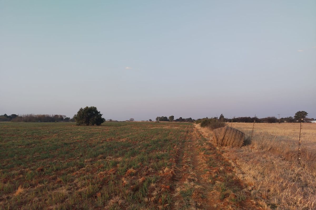 Exceptional 8.5-Hectare Mixed-Use Property – Prime Location Close to Town - Photo 4