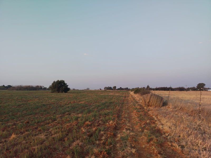 Exceptional 8.5-Hectare Mixed-Use Property – Prime Location Close to Town - Photo 4
