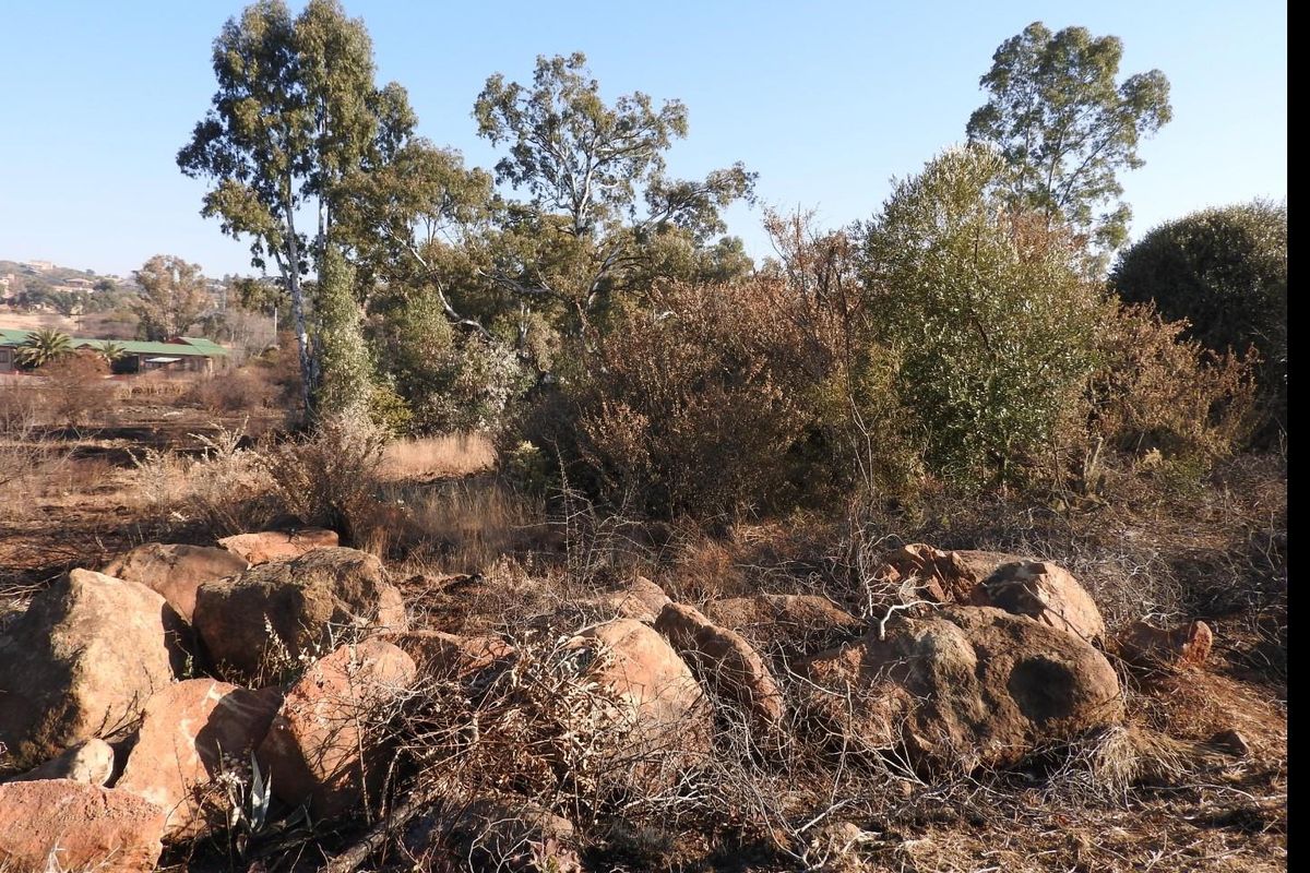 Prime Vacant Land in Vaal Marina – Endless Possibilities Await! - Photo 3
