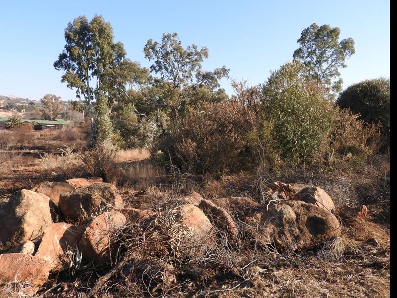 Prime Vacant Land in Vaal Marina – Endless Possibilities Await! - Photo 3