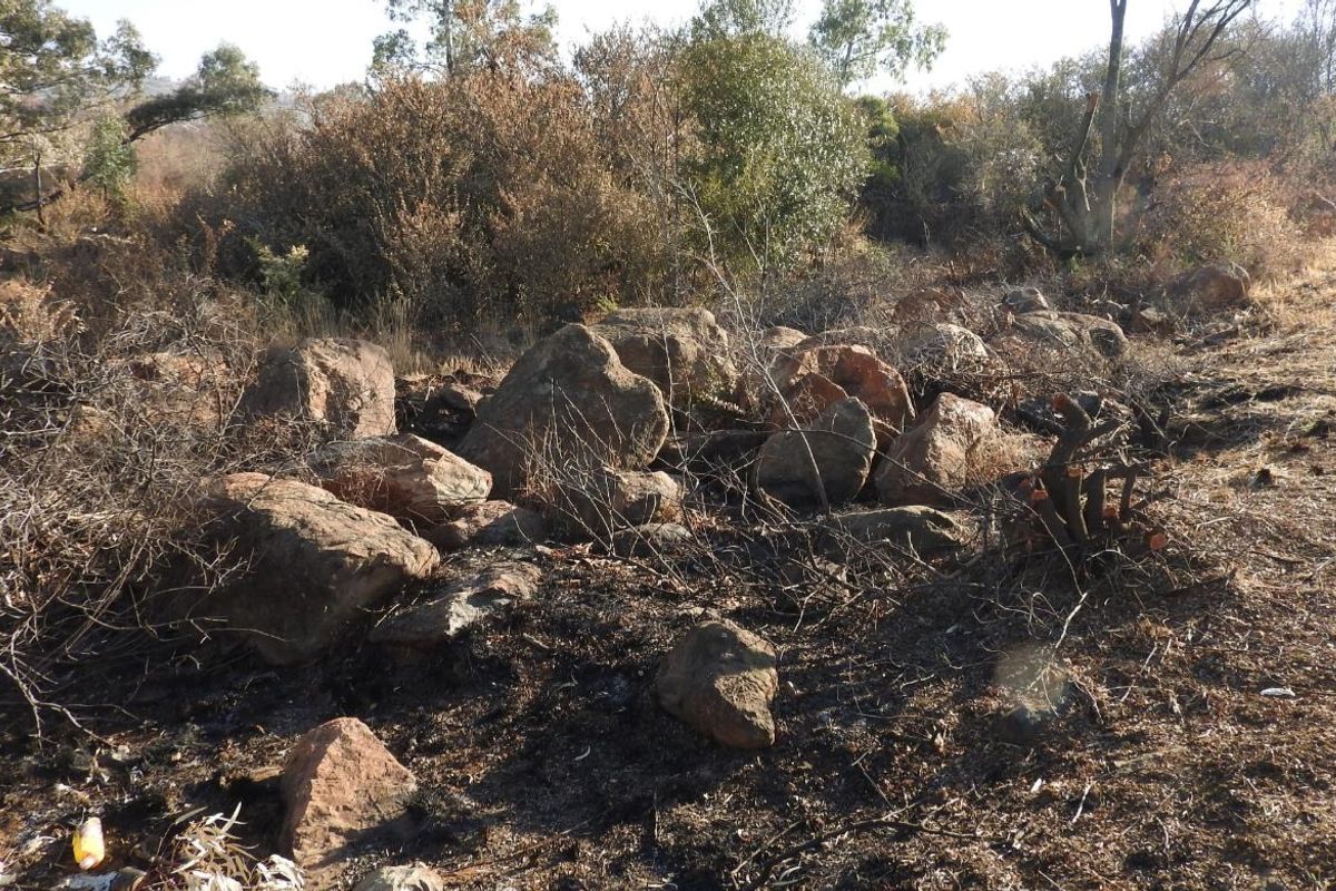 Prime Vacant Land in Vaal Marina – Endless Possibilities Await! - Photo 4