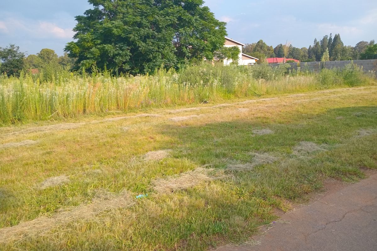Vacant Stand for sale - Photo 3
