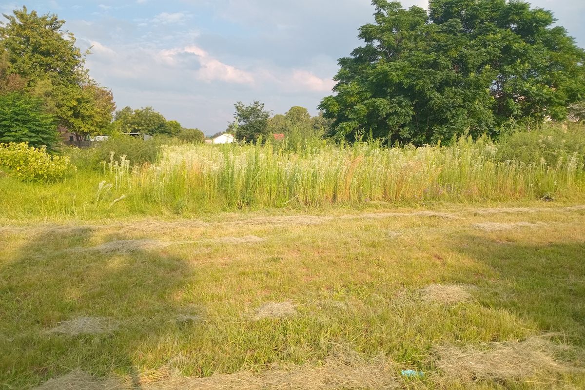 Vacant Stand for sale - Photo 2