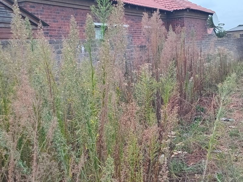 VACANT LAND FOR SALE IN KOOKRUS - Photo 7