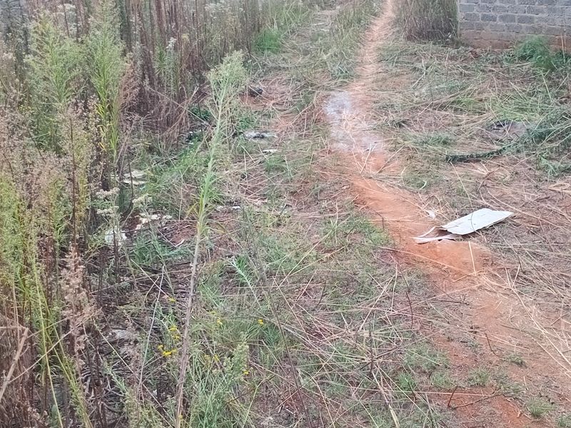 VACANT LAND FOR SALE IN KOOKRUS - Photo 6