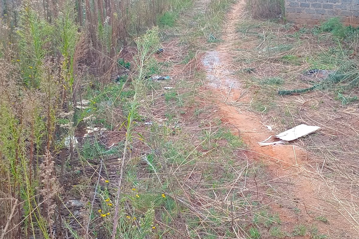 VACANT LAND FOR SALE IN KOOKRUS - Photo 5