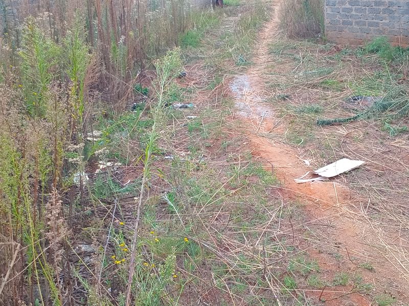 VACANT LAND FOR SALE IN KOOKRUS - Photo 5