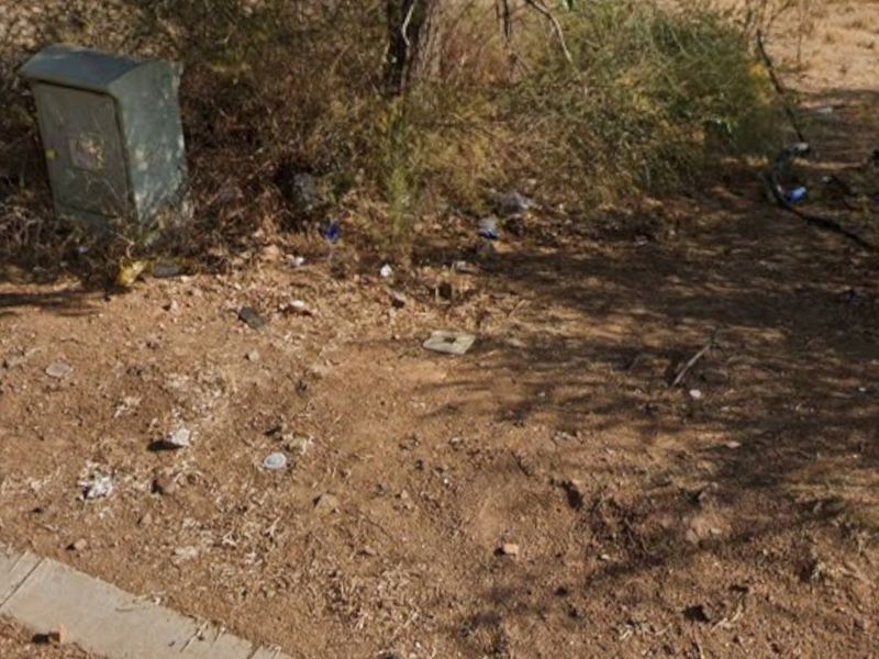 A view of a vacant residential plot featuring an electrical utility box, concrete curbing, and natural vegetation.