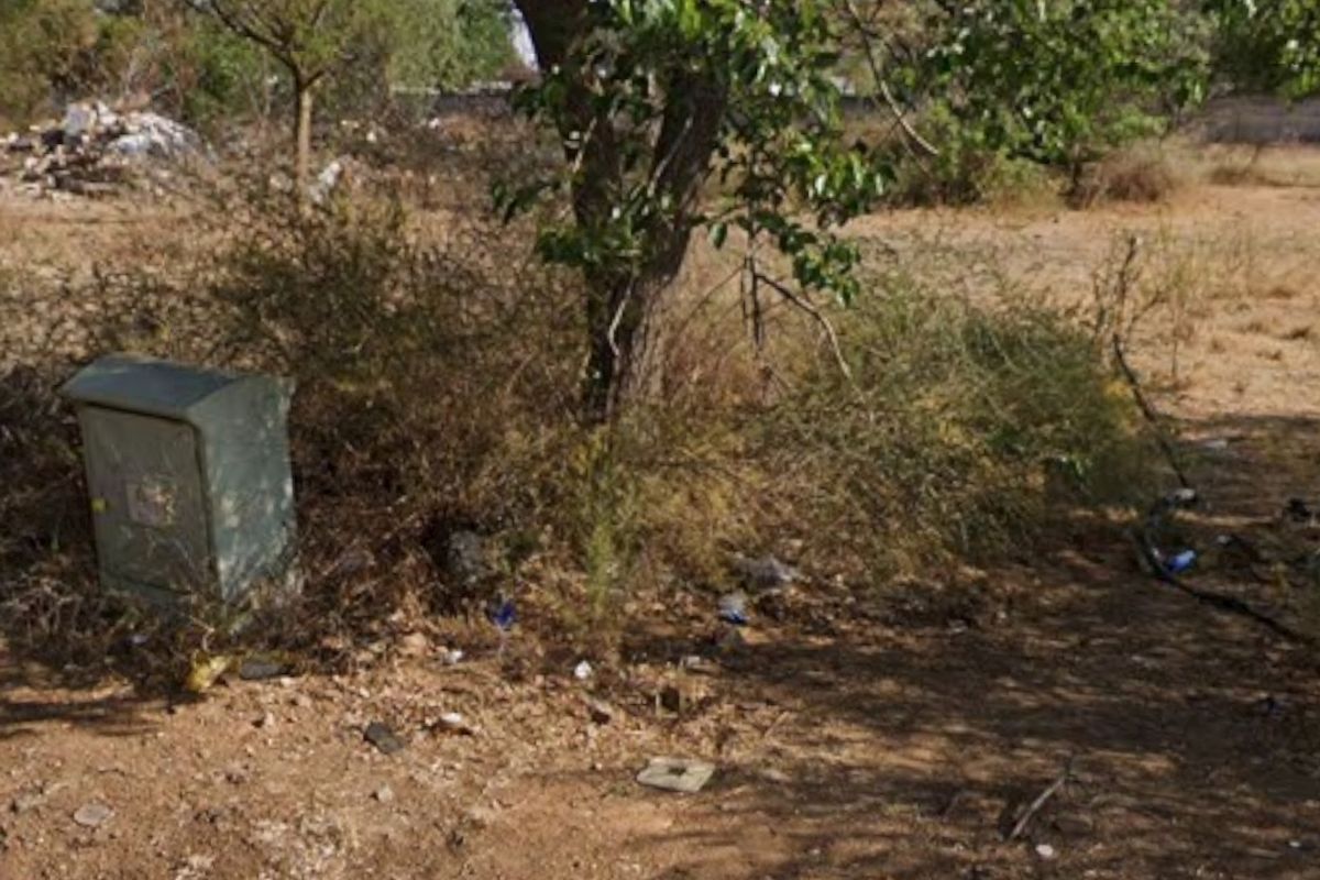 A view of a vacant residential plot featuring natural vegetation, a mature tree, and a utility box on the property.