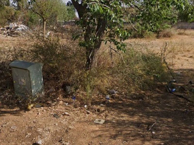 A view of a vacant residential plot featuring natural vegetation, a mature tree, and a utility box on the property.