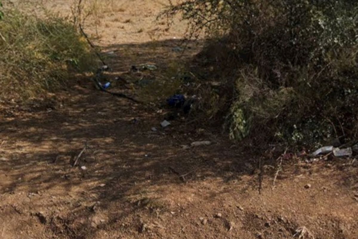 An undeveloped residential land plot featuring natural vegetation and unmaintained ground cover, suitable for future landscaping or construction projects.