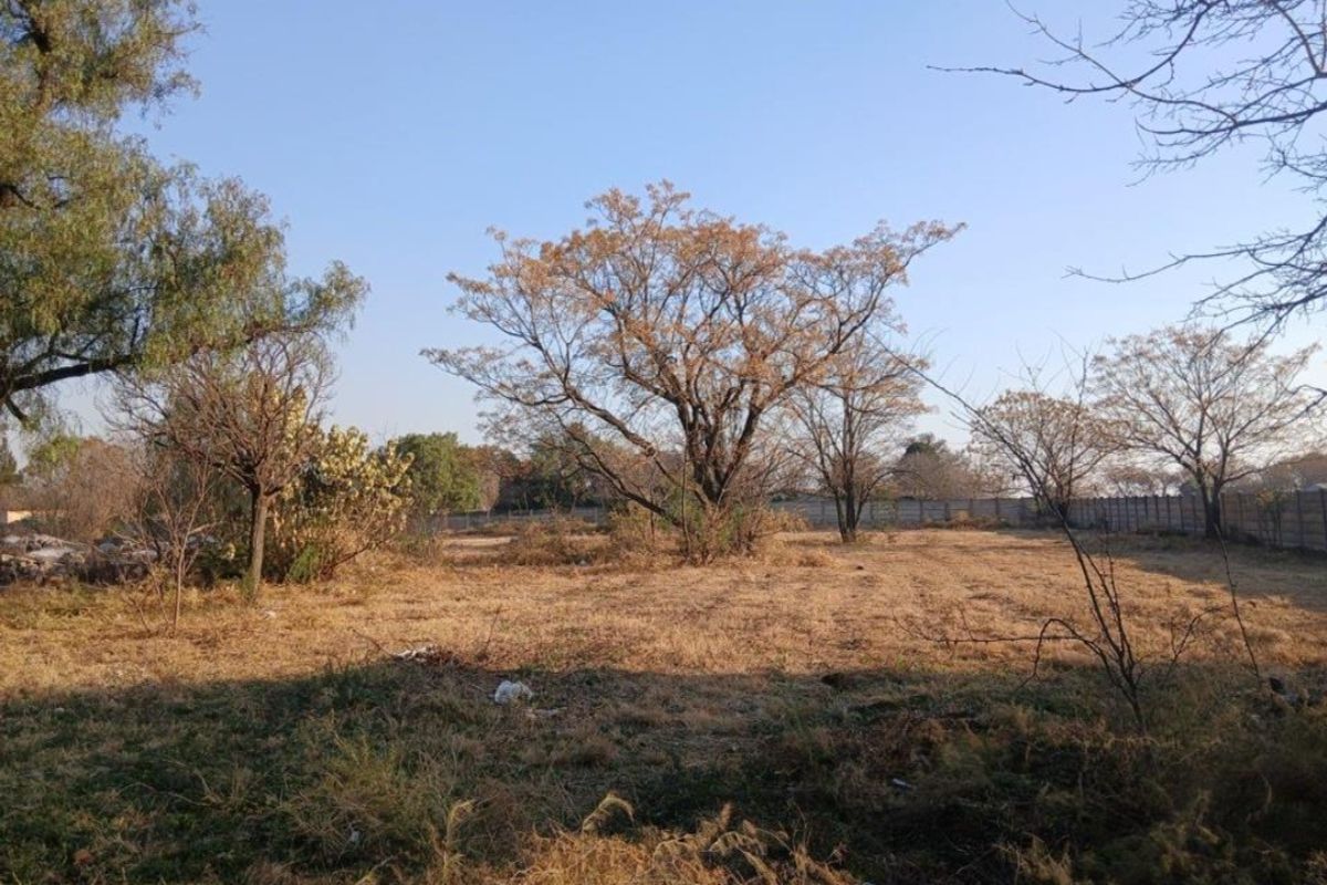 A view of a vacant residential plot featuring mature trees and a perimeter boundary wall.