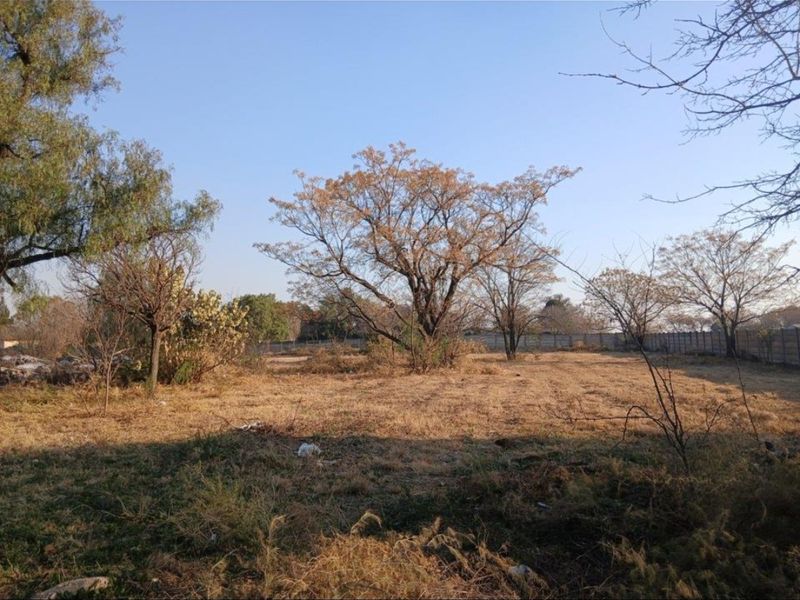 A view of a vacant residential plot featuring mature trees and a perimeter boundary wall.