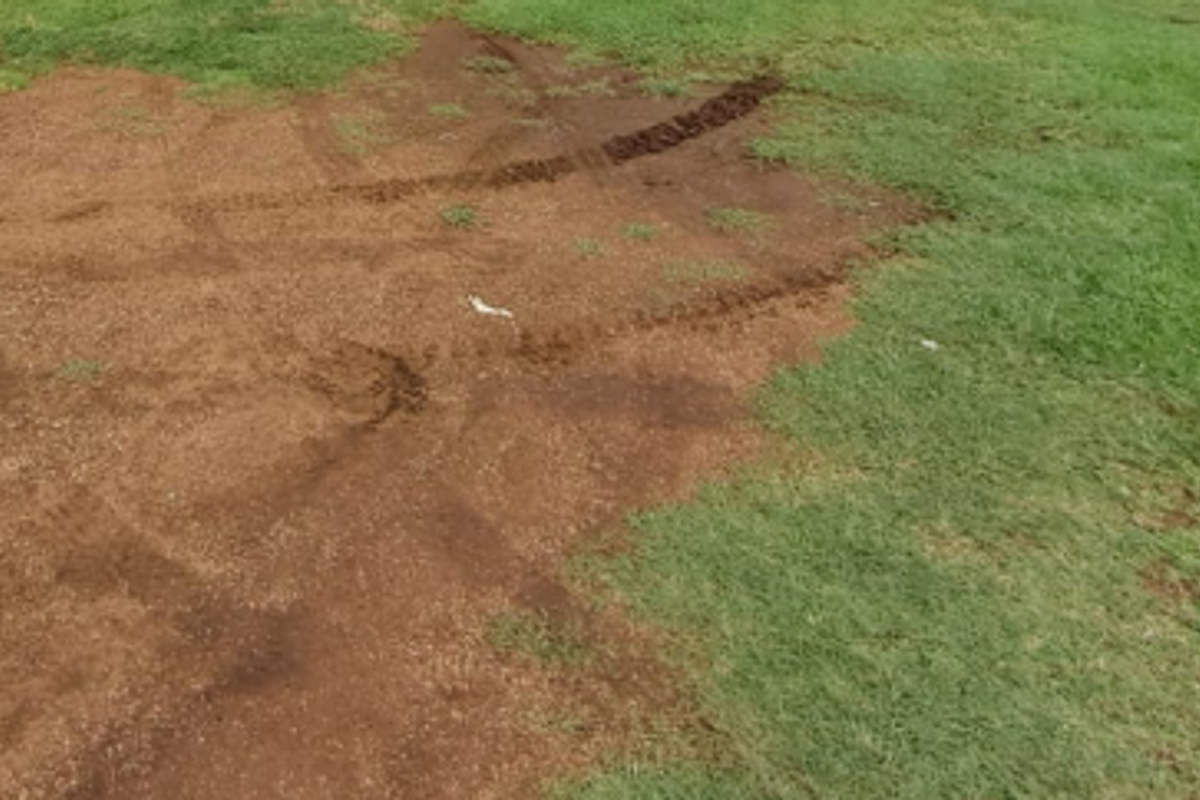 A view of a garden area showing significant lawn damage and exposed soil.