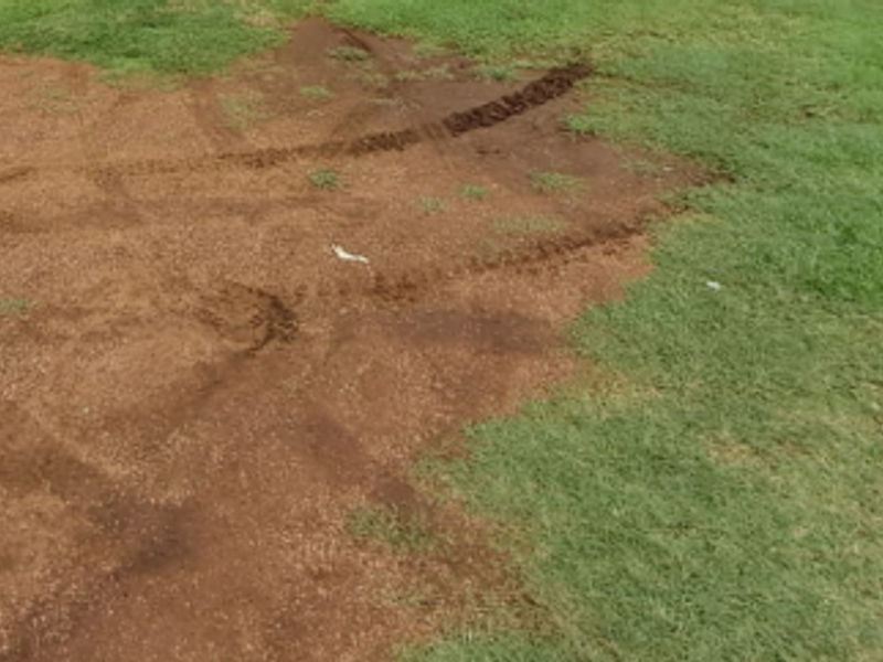 A view of a garden area showing significant lawn damage and exposed soil.