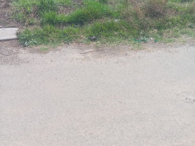A view of the street frontage adjacent to the vacant residential land plot.