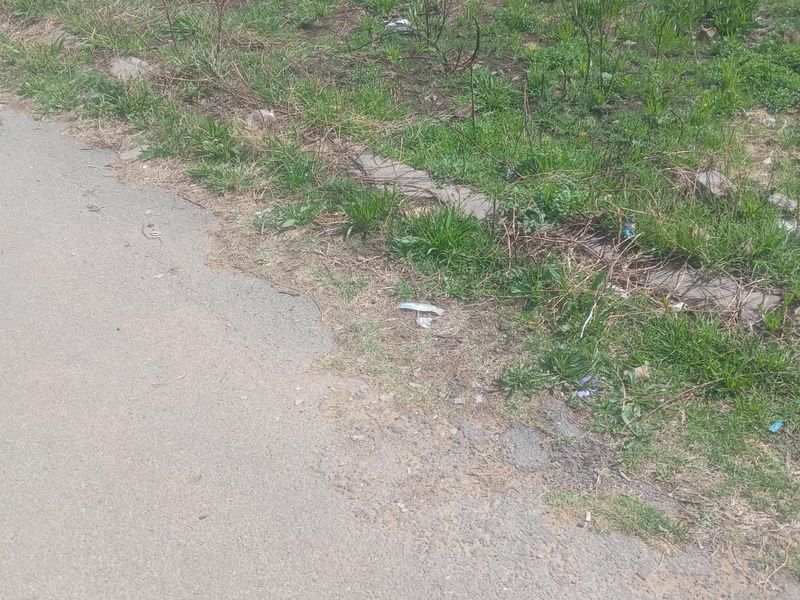 A view of the street frontage and boundary wall of the vacant residential land plot.