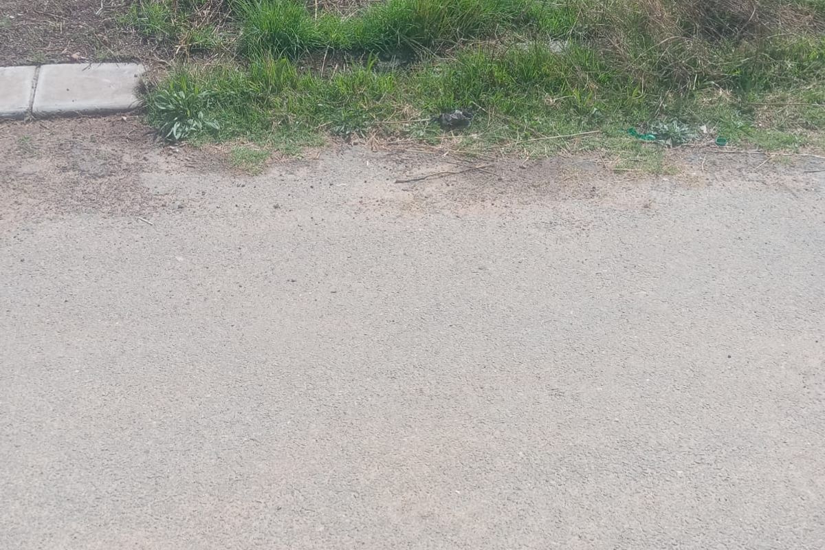 A view of the street frontage and boundary wall of the vacant residential land plot.
