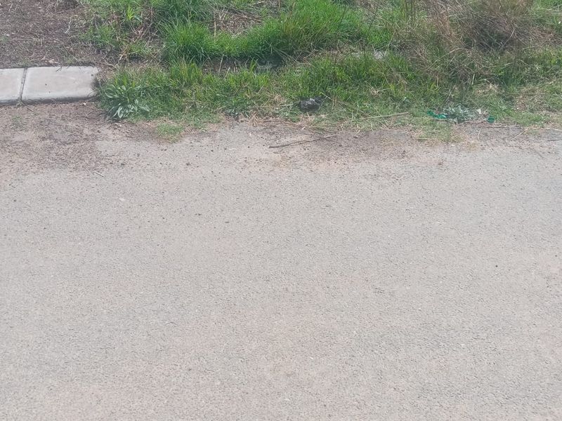 A view of the street frontage and boundary wall of the vacant residential land plot.