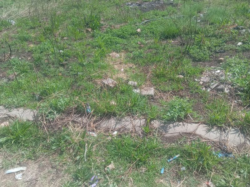 A vacant residential plot featuring overgrown grass, a concrete curb, and a perimeter boundary wall in a suburban neighborhood setting.