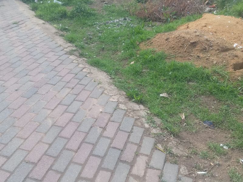 A view of a residential plot featuring a paved walkway, boundary wall, and unmaintained garden area with overgrown grass and soil piles.