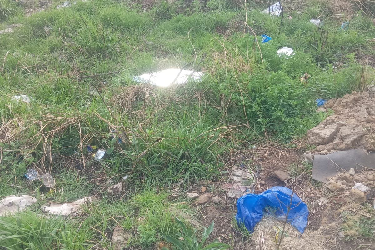 A view of an undeveloped residential plot featuring overgrown grass, weeds, and scattered debris, enclosed by a perimeter wall.