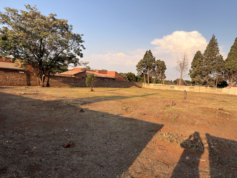A spacious, level residential vacant land plot featuring established trees and secure perimeter walling, offering a blank canvas for future development.